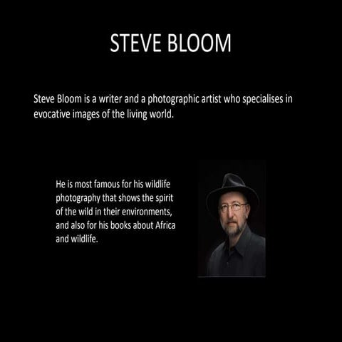 Steve Bloom