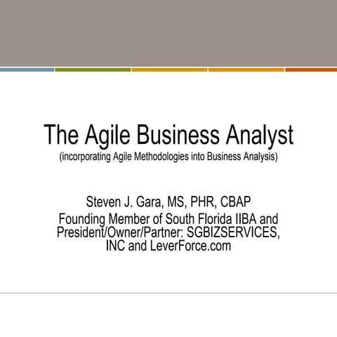 Steve Gara Presentation   Sgbizservices