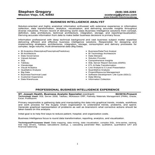 Steve gregory resume bi