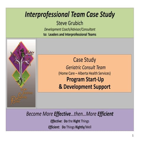 Interprofessional care and role of team leaders (by B K Kaini) | PDF