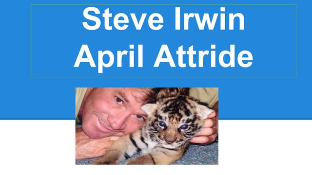 Steve Irwin