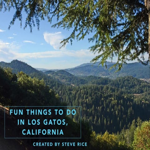 Steve Rice: Fun Things To Do In Los Gatos