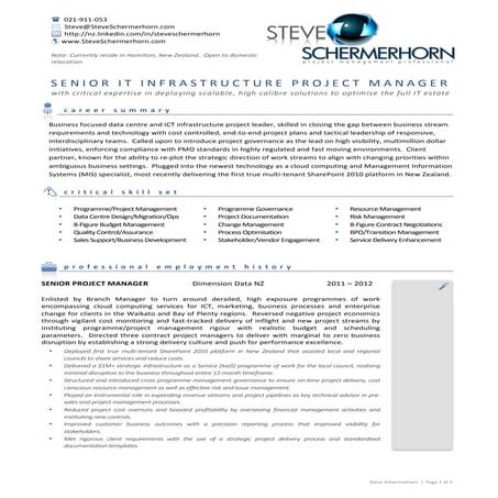 CV of Steve Schermerhorn