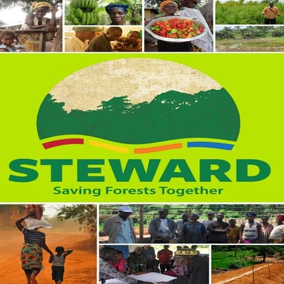 Steward Program