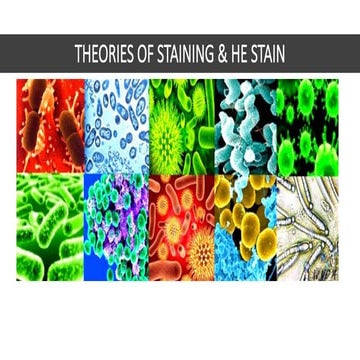 Theories of Staining | PPTX