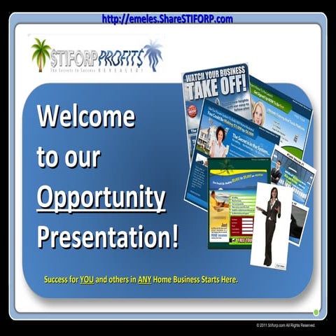 Stiforp Profits Business