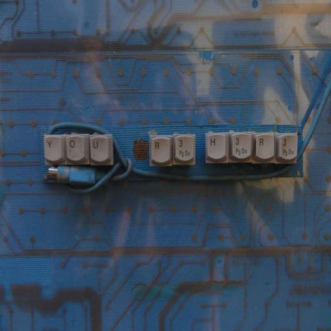 Stijn in een notendop