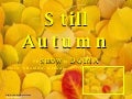 STILL AUTUMN