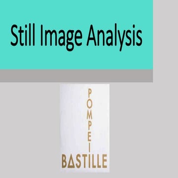 Task 3- Still image analysis