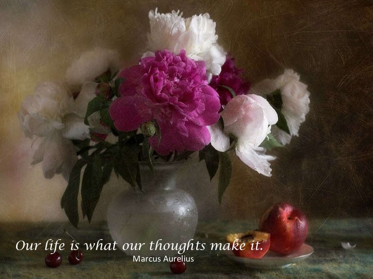 Still life and_quotations
