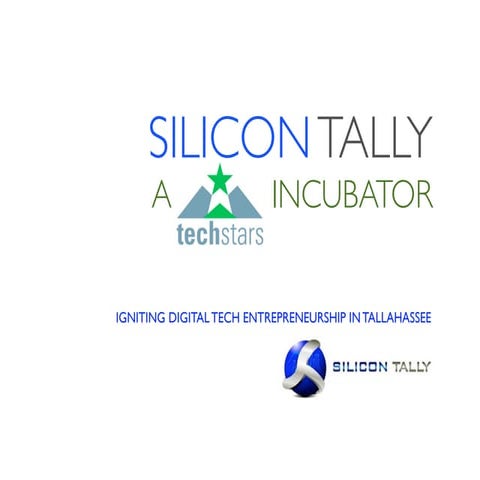 Silicon Tally - TechStars Fund