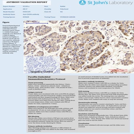 IHC protocols.pptx