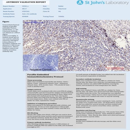 IHC protocols.pptx