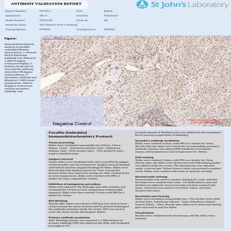 IHC protocols.pptx