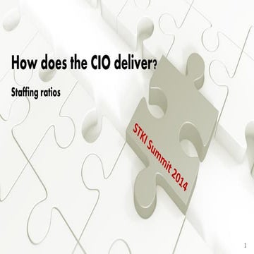 STKI staffing ratios ratios 2014