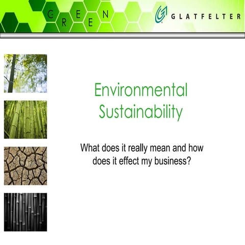 Environmental Sustainability
