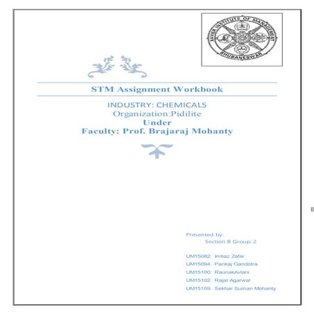 Stm pidilite group2_section_b