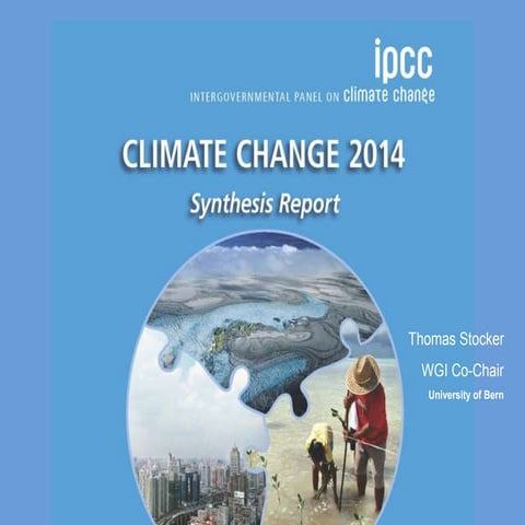 Синтезирующий доклад