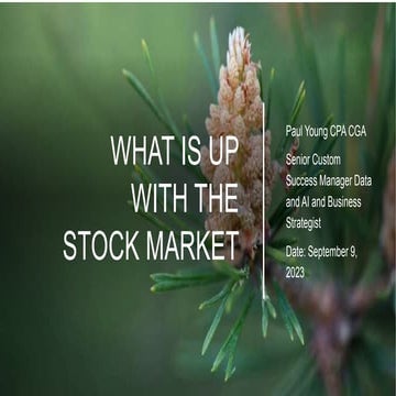 Stock Market Analysis and Commentary for WE September 15 2023.pptx