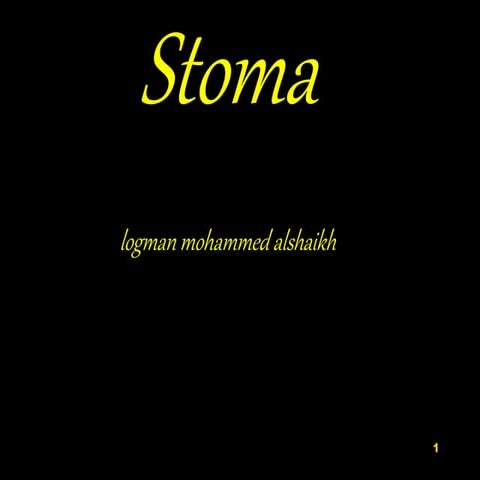 Stoma | PPT