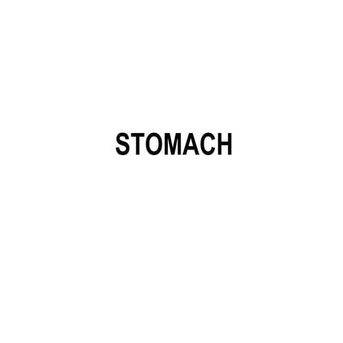 Stomach gross anatomy of stomach ppt .pdf