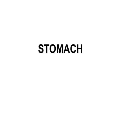 Stomach.pptx anatomy of stomach PowerPoint