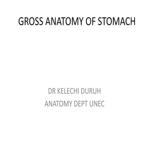 STOMACH AND SPLEEN GROSS ANATOMY LECTURE.pptx