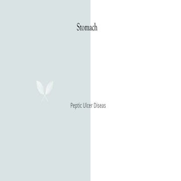 Stomach Peptic ulcer disease Acid peptic disorders