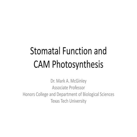 Stomatal function and cam photosynthesis