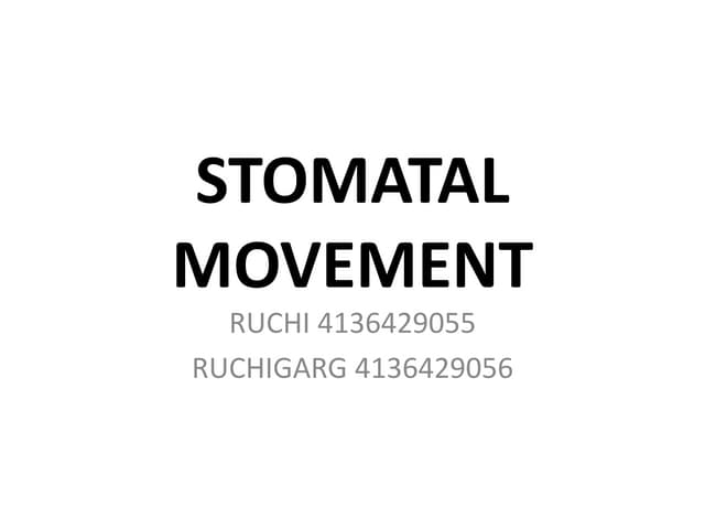 Stomatal movement