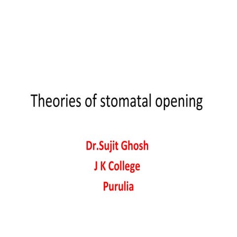 theories of stomatal opening 