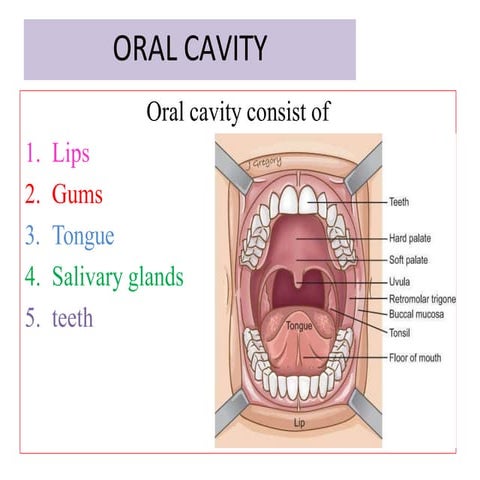 stomatitis.pptx