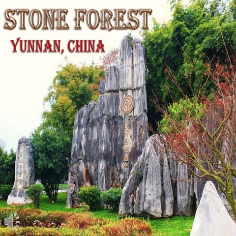 Stone forest in yunnan, china (v.m.)