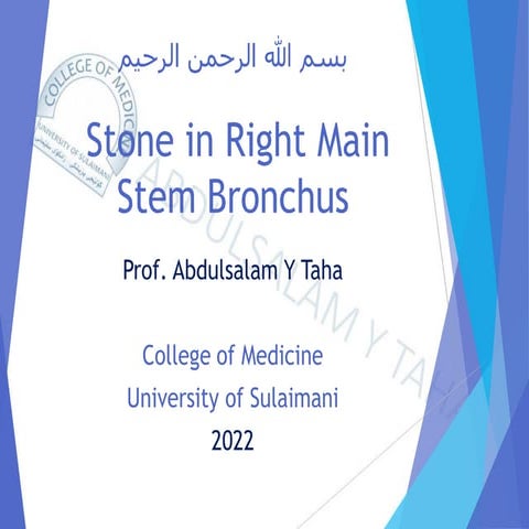 Stone in Right Main Stem Bronchus.pdf