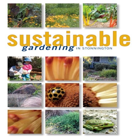 Sustainable Gardening in Stonnington