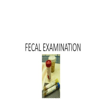 Comprehensive Guide to Fecal Examination and Stool Analysis Techniques ...
