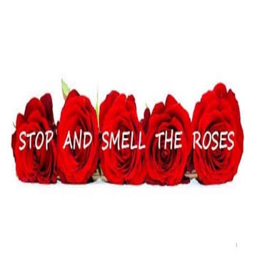 Stop! and Smell the Rose by Aanu Gopald