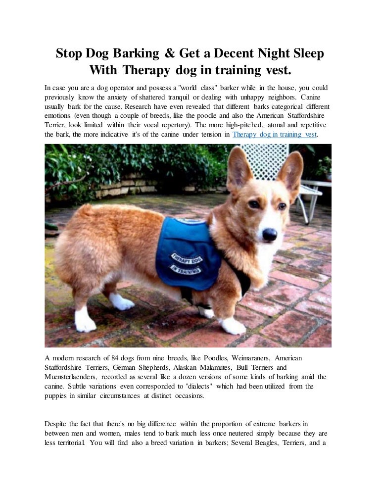 canine therapy training