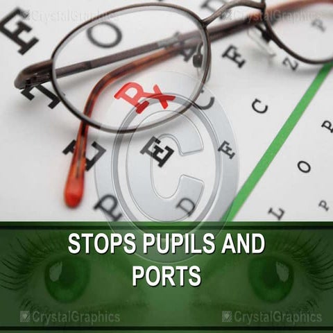 Stops pupils and ports