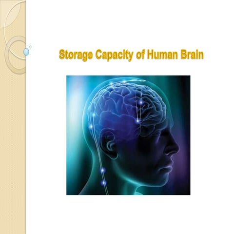 Memory Storage Capacity of Human Brain | PPT