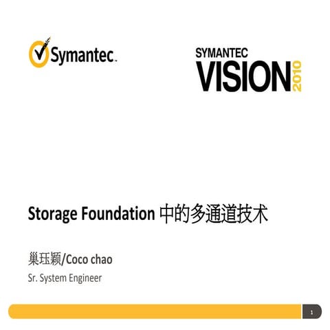 分会场二Storage foundation 中的多通道技术