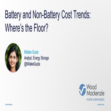 Wood Mackenzie Power & Renewables Breakfast Briefing II: Battery and Non-Batt...