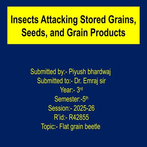 storedgraininsects1-100130184700-phpapp01.pptx