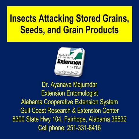 Stored Grain Insect Pests