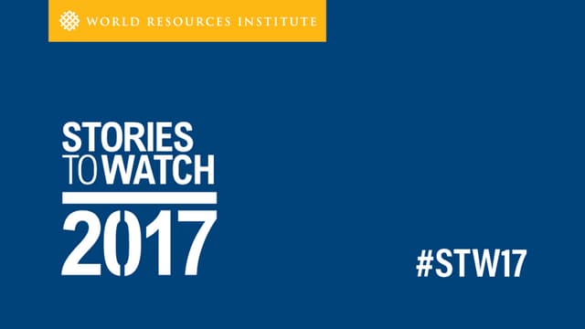 Stories to Watch 2017