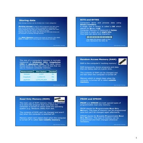 Storing data | PDF | Data Storage and Warehousing | Computing