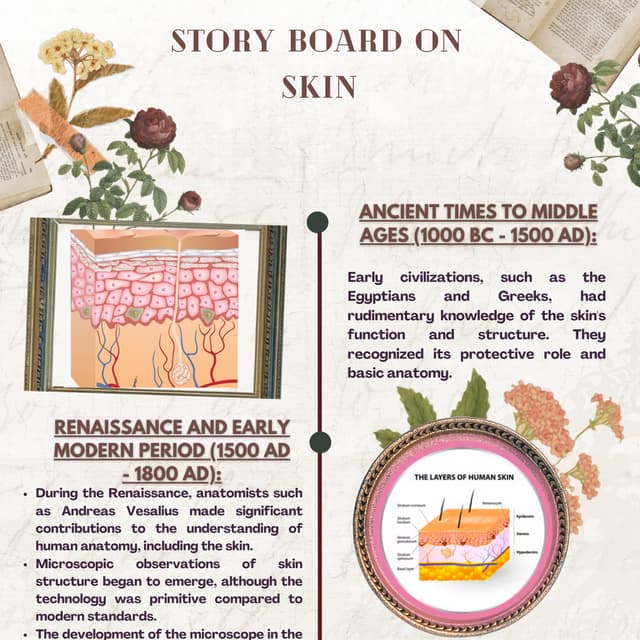 Storyboard on Skin- Innovative Learning (M-pharm) 2nd sem. (Cosmetics)
