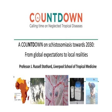 Schistosomiasis towards 2030: From Global Expectations to local realities