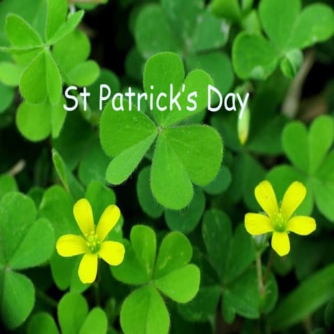 St patrick's day pr'esntation