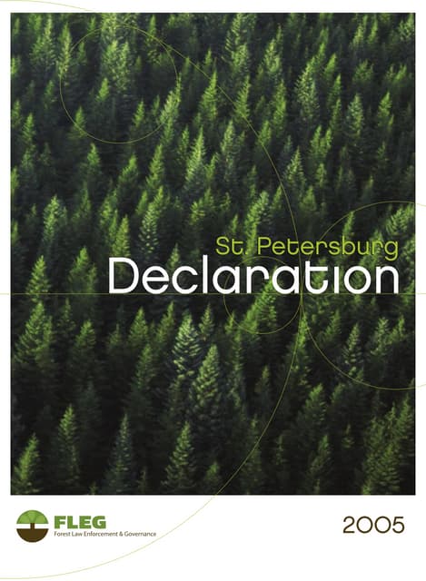 St. Petersburg Declaration